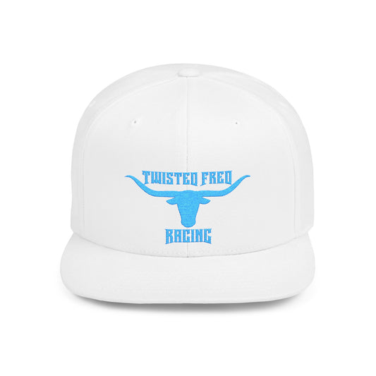 Long horn TEAL TWFR snap back